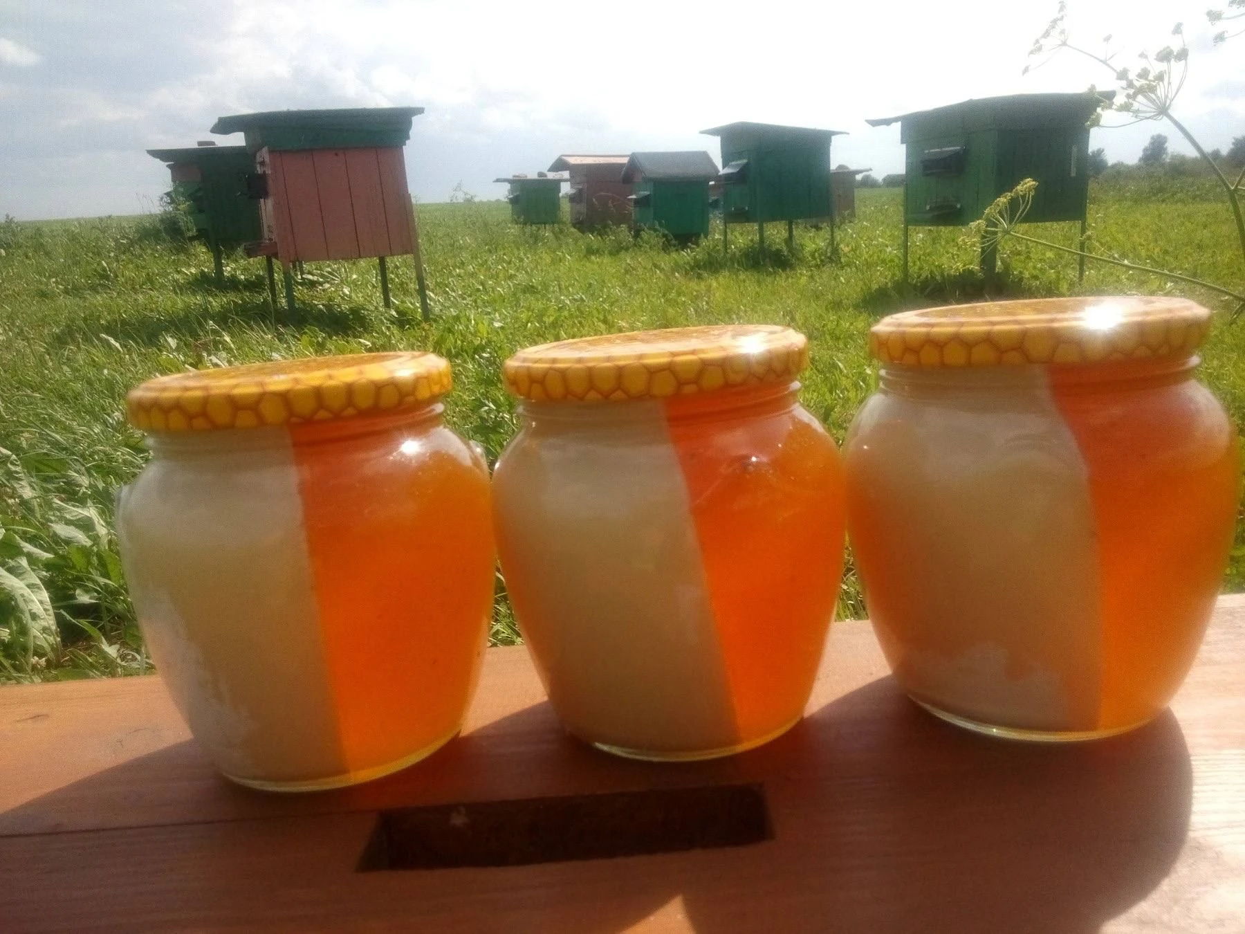 Двухслойный мед, 500мл. фото 3